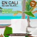 Foto de Agua de Coco Botella 500 c.c