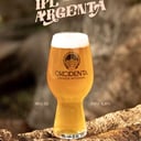 Foto de OKCIDENTA IPA ARGENTA