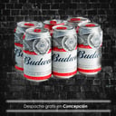 Foto de Budweiser Botellín Six Pack 330cc