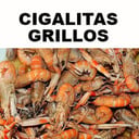 Foto de CIGALITAS GRILLOS