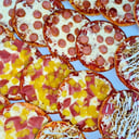 Foto de Mini pizzas para tu cumpleaños, celebraciones 