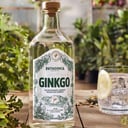 Foto de Gin Tonic Patagonia Ginkgo