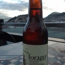 Foto de Botanico sin alcohol FORAGER