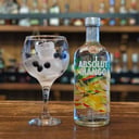 Foto de ABSOLUT MANGO