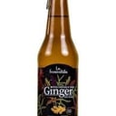 Foto de KEFIR GINGER (sin alcohol)