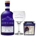 Foto de GIN ACONCAGUA