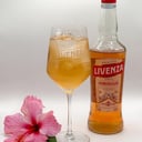 Foto de Hibiscus Spritz