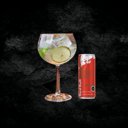 Foto de GIN DE VERANO