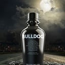 Foto de BULLDOG