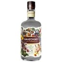 Foto de GIN TONIC AMAZONIAN