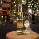 Foto de topochico 355 ml