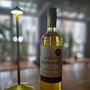Foto de RESERVADO SAUVIGNON BLANC SANTA CAROLINA