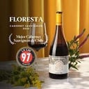 Foto de Floresta
