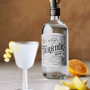 Foto de Gin-Tonic Terrier