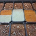 Foto de Pastel de Papa - CONSULTAR MENU DEL DIA - CARTA DE INVIERNO