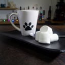 Foto de Chocolate Patas Dulces🐾