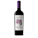 Foto de Santa Carolina Tinto Reserva 