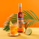 Foto de Ramazzotti Tonic