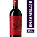 Foto de Diablo - 750 CC