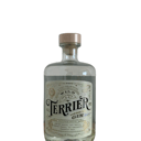 Foto de Terrier wild