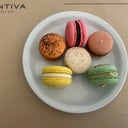 Foto de Macarrons a elección