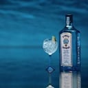 Foto de GIN BOMBAY
