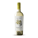 Foto de Santa Carolina Blanco Reserva
