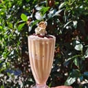 Foto de FRAPUCCINO