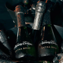 Foto de NAVARRO CORREAS Extra Brut