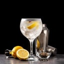 Foto de GIN TONIC
