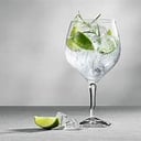 Foto de GIN TONIC