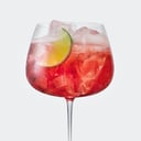 Foto de CAMPARI GIN & TONIC