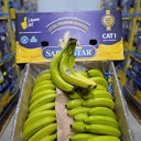 Foto de BANANA ECUADOR POR CAJA