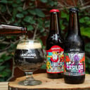 Foto de Cerveza Artesanal Local 