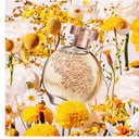 Foto de Floratta gold 