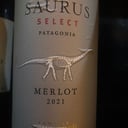 Foto de Saurus Select 