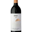 Foto de Áster Crianza
