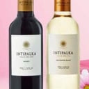 Foto de WINE / VINO