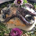 Foto de PULPO ENTERO EN RISOTTO DEL MAR