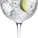 Foto de Gin Tonic