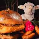 Foto de BURGER OVEJA