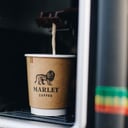 Foto de CAFFE MARLEY CHICO