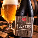 Foto de QUERCUS 