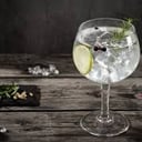 Foto de Gin tonic