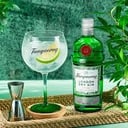 Foto de GIN