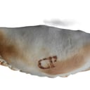 Foto de CARNE PICANTE