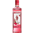 Foto de GINEBRA BEEFEATER