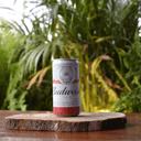 Foto de BUDWEISER