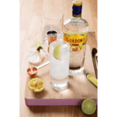 Foto de Gin Tonic Gordon´s