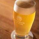 Foto de OKCIDENTA AMARILLO | AMERICAN WHEAT